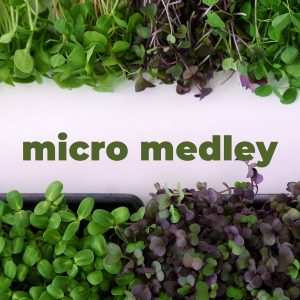 Micro Medley