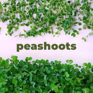 Peashoots